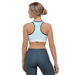 Load image into Gallery viewer, Arctic Ice Ombre Sports Bra - HAVAH

