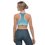Load image into Gallery viewer, Arctic Sky Ombre Sports Bra - HAVAH
